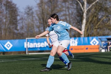 Bild 317 - F Hamburger SV 3 - Blau-Weiss 96 : Ergebnis: 5:1